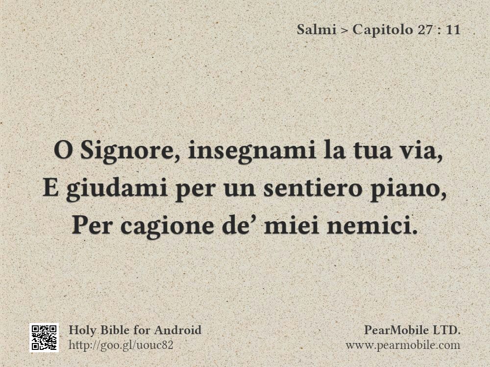 Salmi, Capitolo 27:11